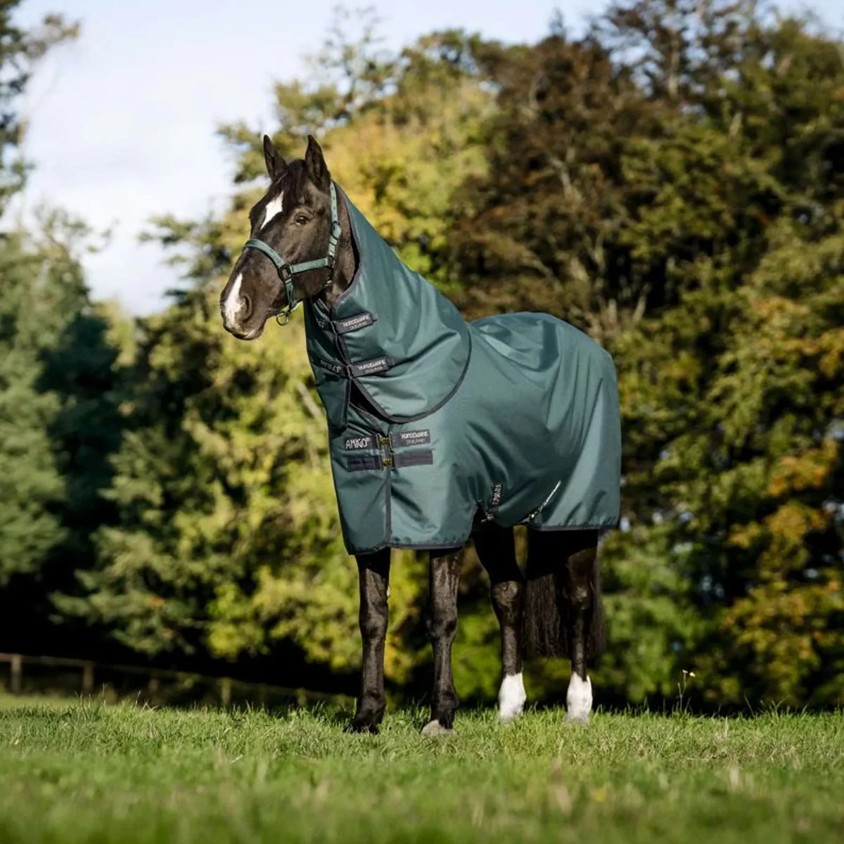 Immagine prodotto 1